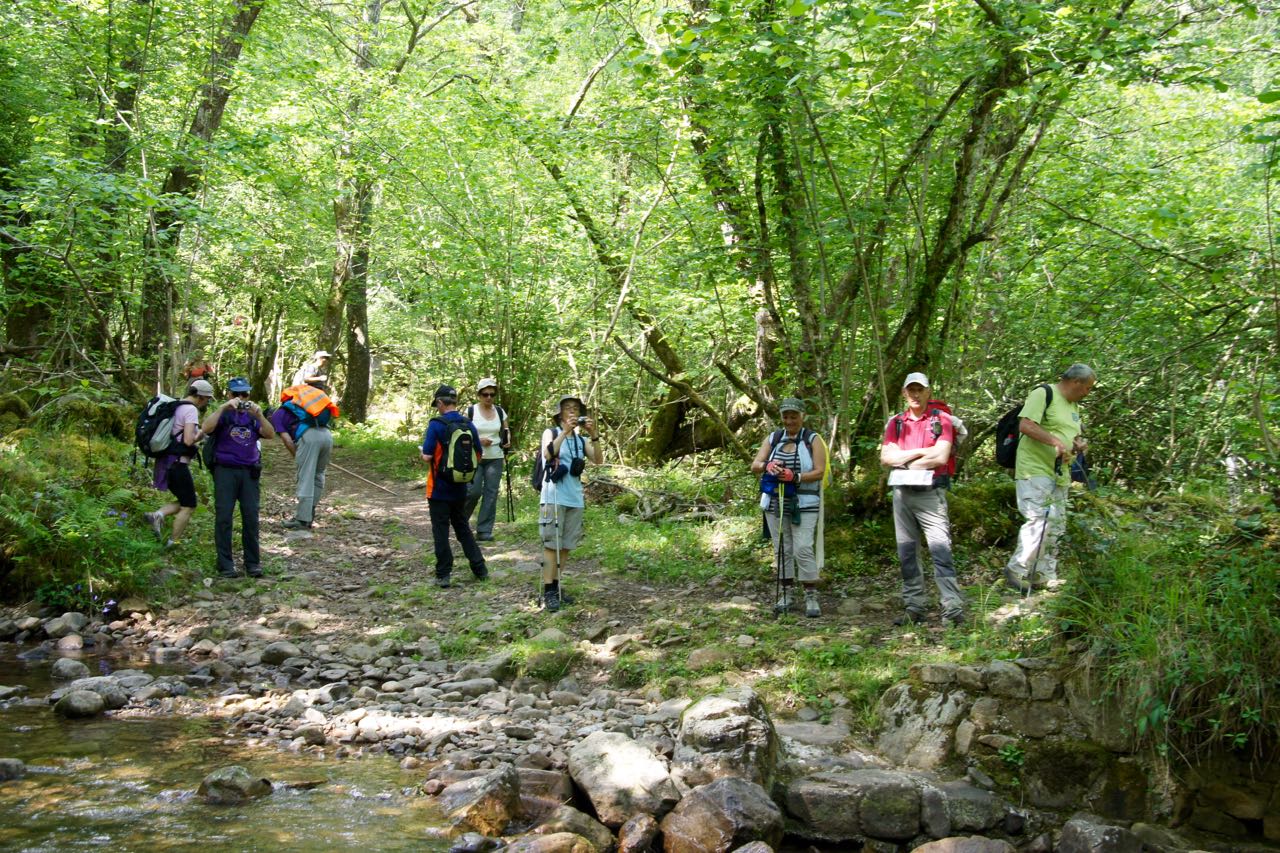 Parc naturel de Saja-Besaya