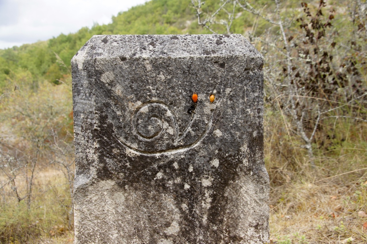 sur le chemin des escargots