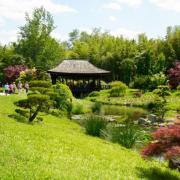 Traversée d'un sublime jardin japonais