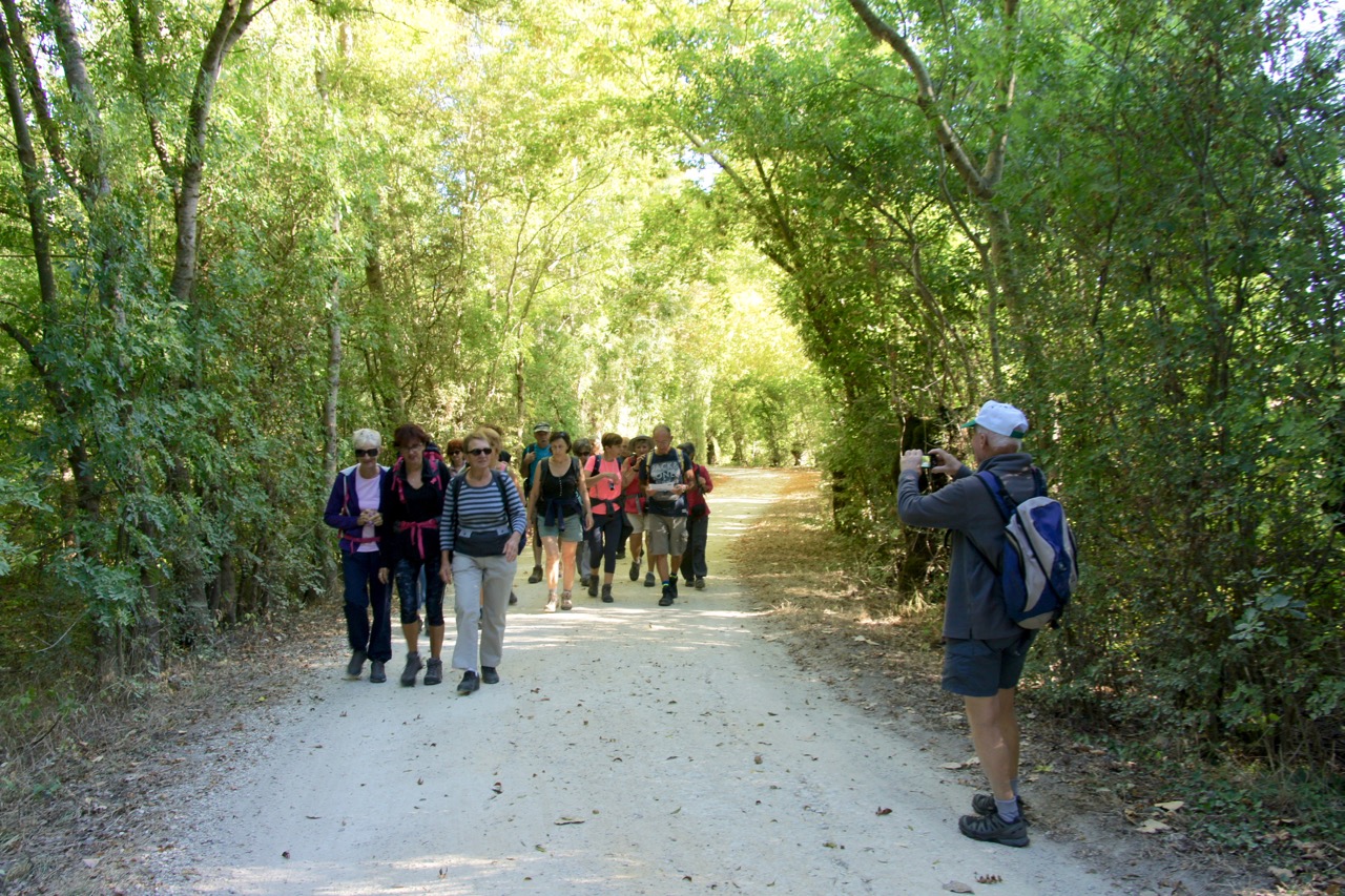 Joli sous-bois