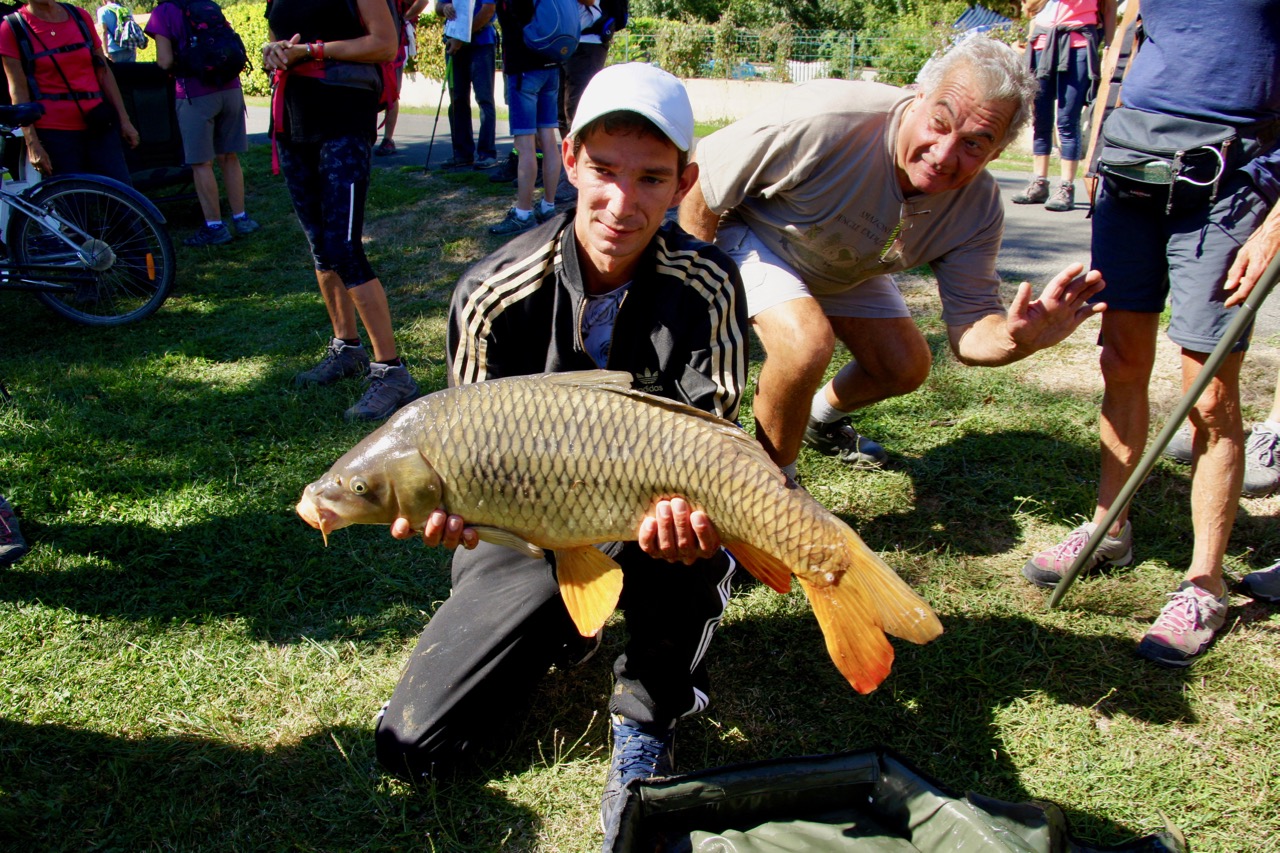 Belle carpe de 7,200 kg (relâchée après photo)