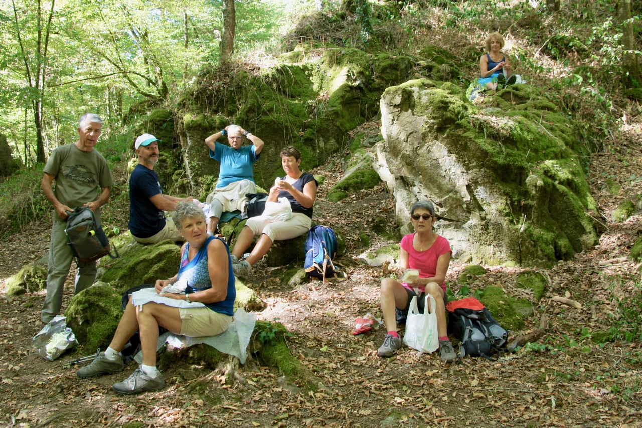 au milieu de la forêt