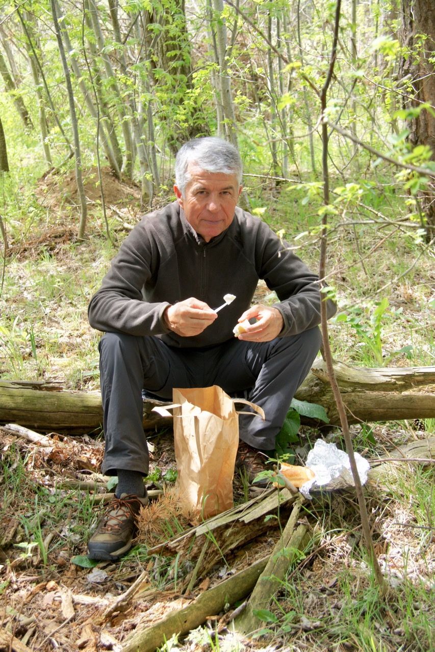 Pique-nique dans un sous-bois