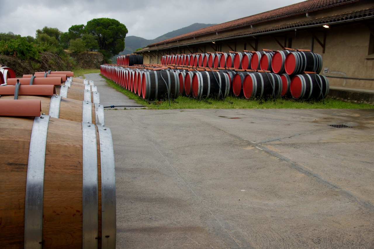 Barriques exposées à tous temps
