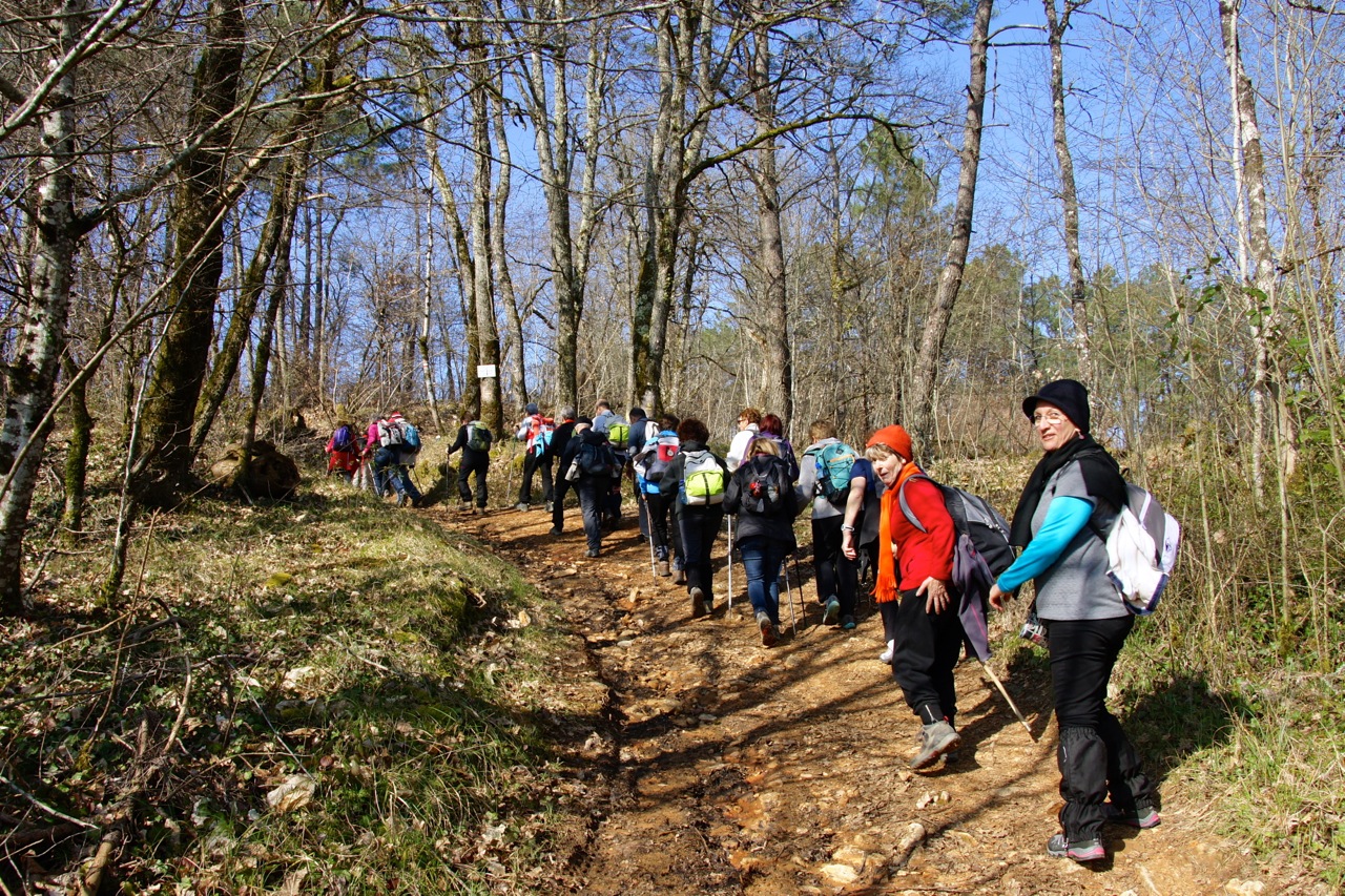 Chemin de rando typique de la région