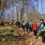 Chemin de rando typique de la région