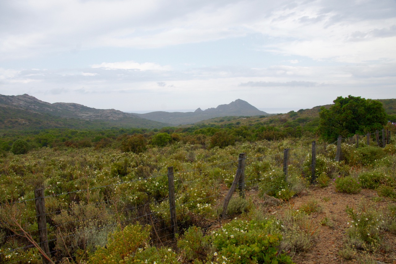 Paysage vert pour un 