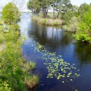 ... le Canal du Littoral des Landes