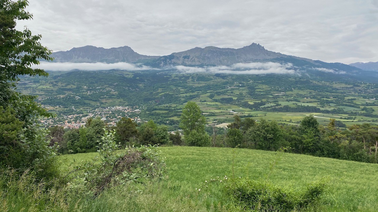 Image00003 5