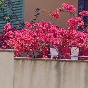 Image00004 16
