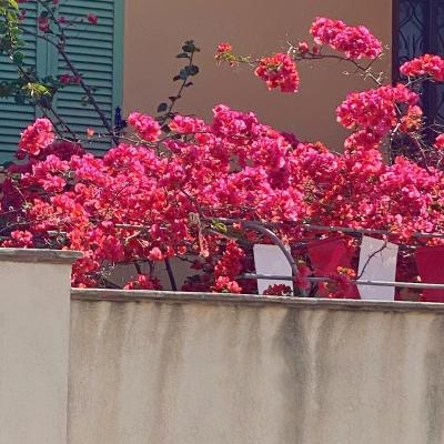 Image00004 16
