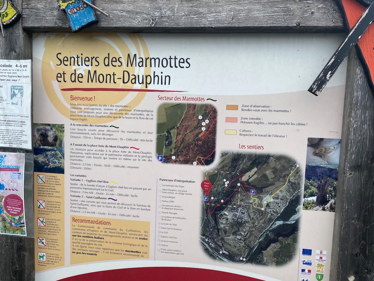 Image00007 7