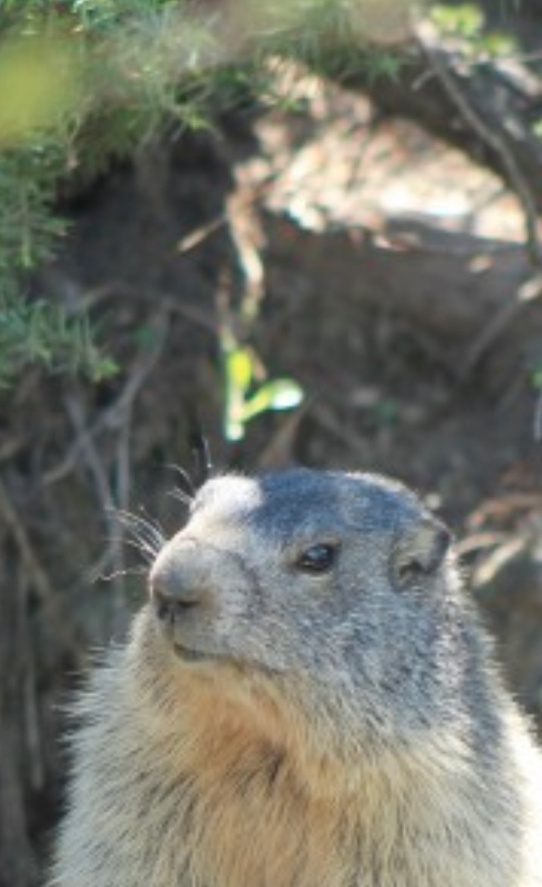 Image00009 5