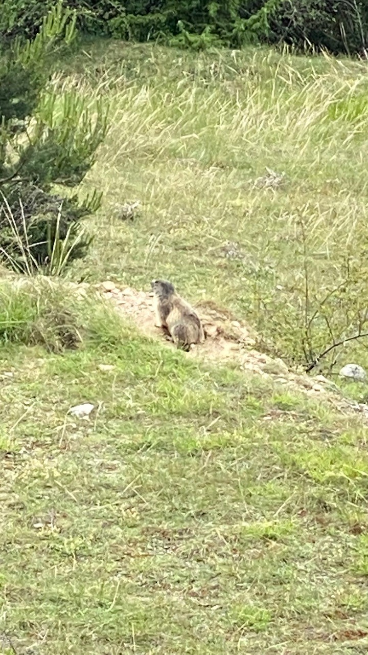 Image00011 8