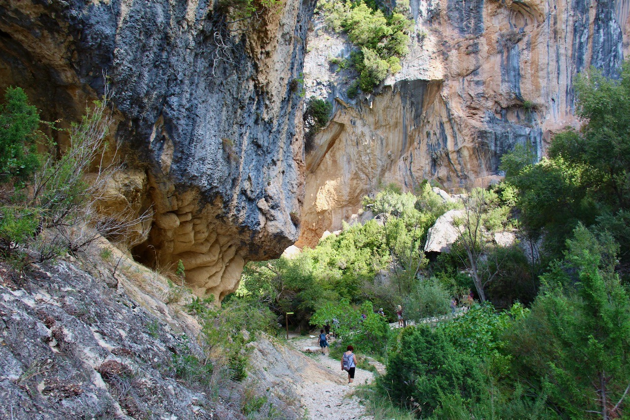 Image00043