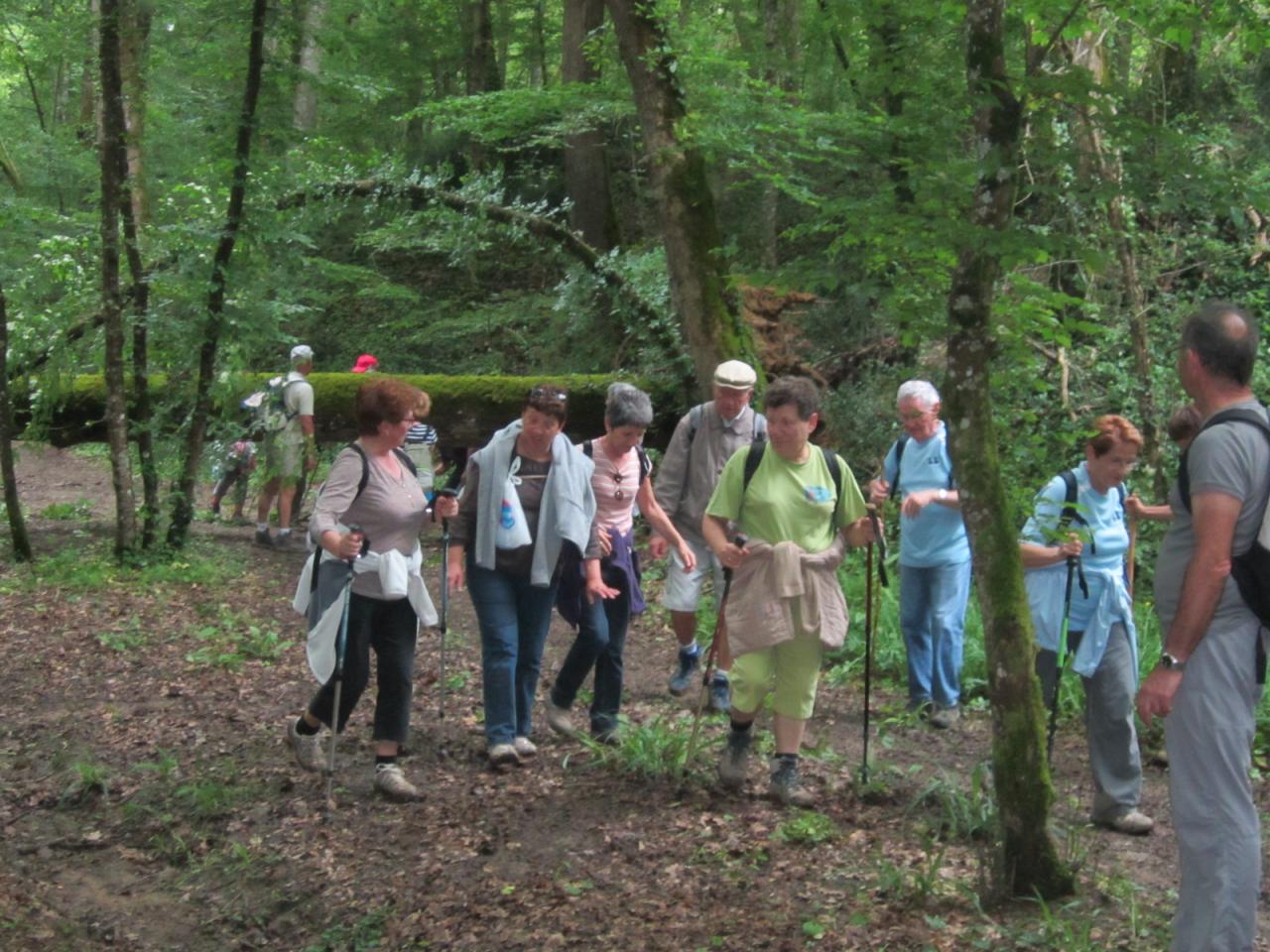  joli chemin creux!
