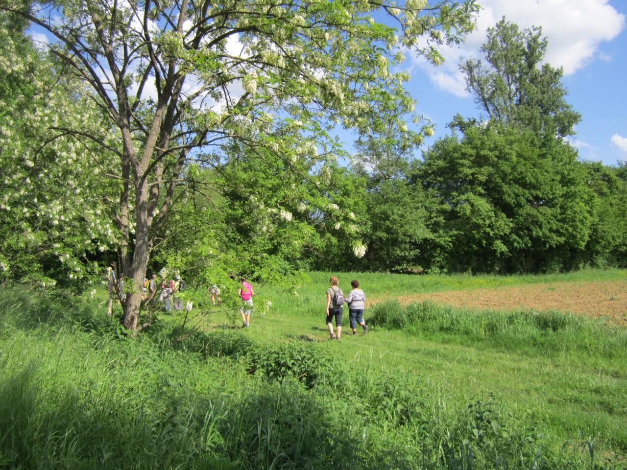 Verteuil n'est plus très loin