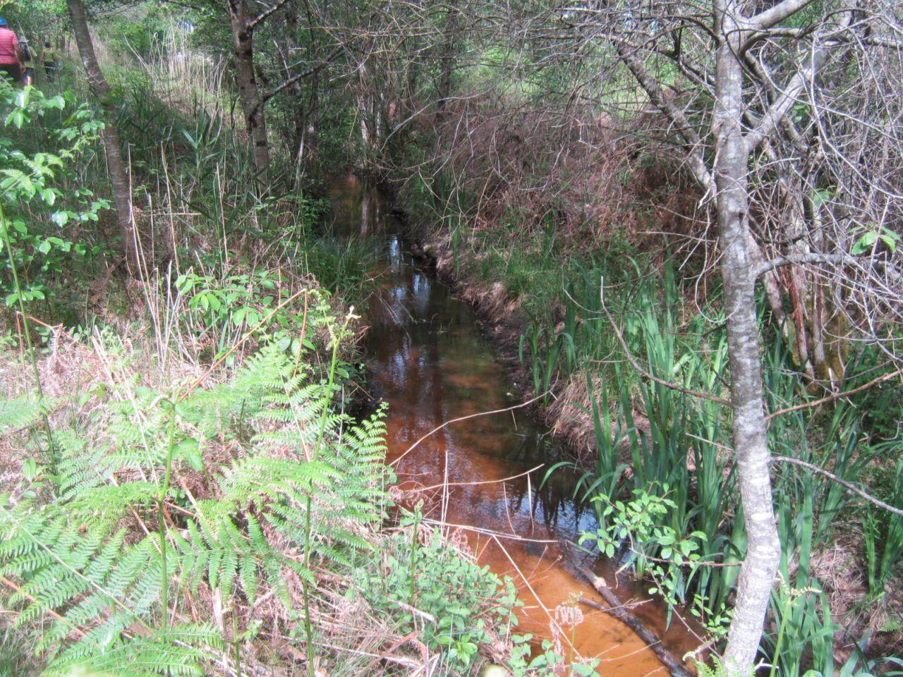 un petit filet d'eau dans l'Avance