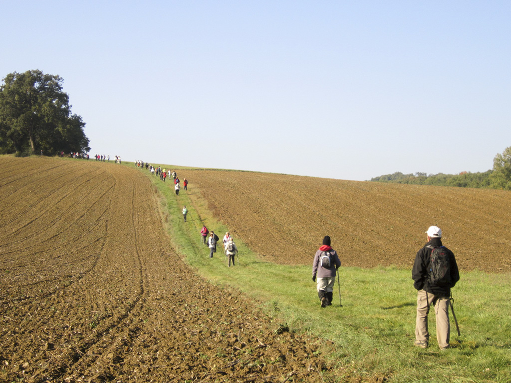 Le long ruban des randonneurs