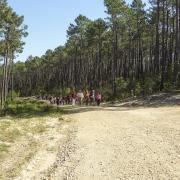 Un groupe impressionnant