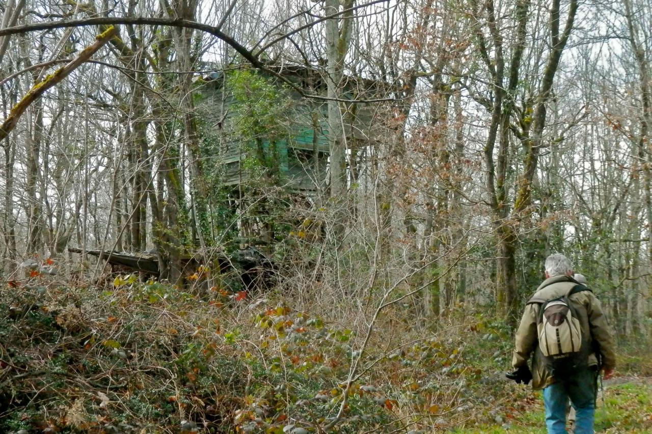 En longeant une des nombreuses palombières