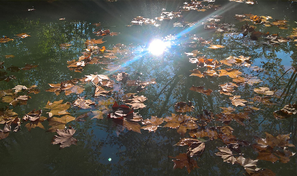 soleil automnal sur le canal