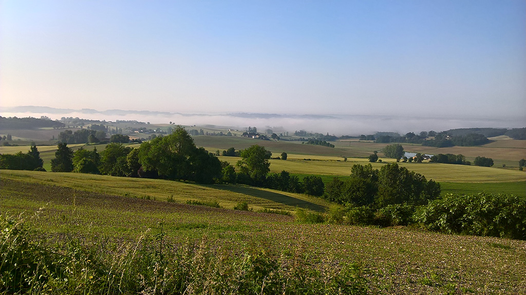 Brume matinale